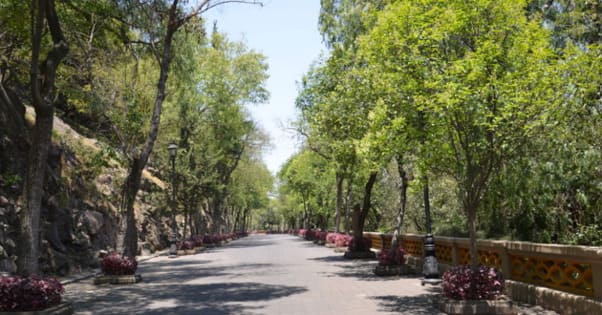 Bosque de Chapultepec