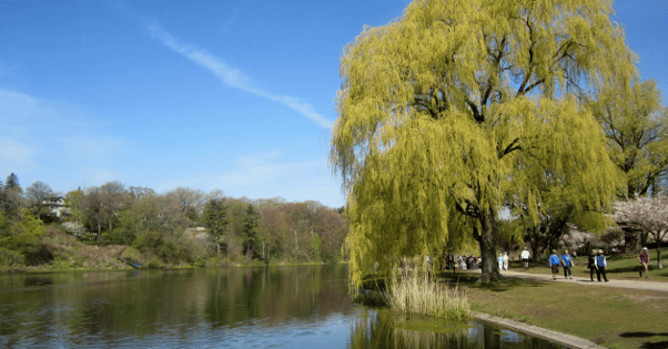 High Park
