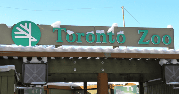 Toronto Zoo