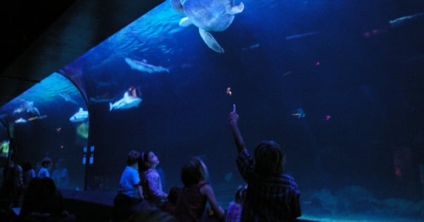 Vancouver Aquarium