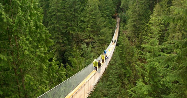 Capilano Suspension Bridge