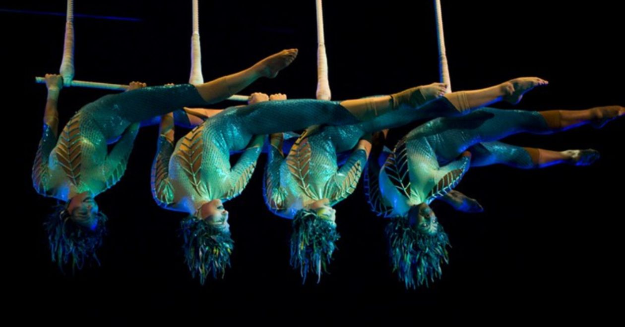 Shows e espetáculos