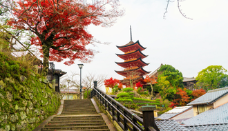 Quanto custa uma viagem para o Japão? Valores e dicas