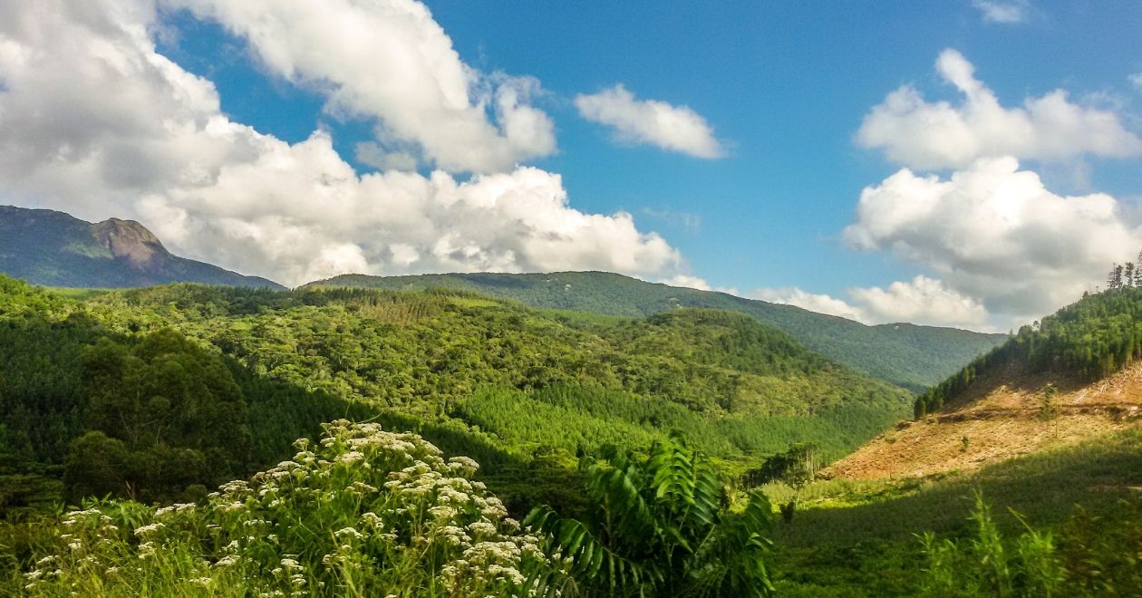 Monte Verde (MG)