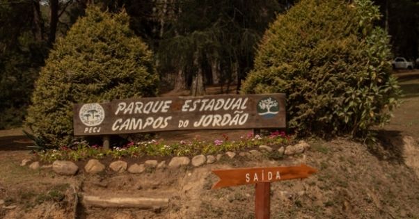 Parque Estadual Campos do Jordão