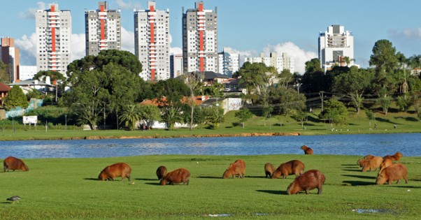 Parque Barigui