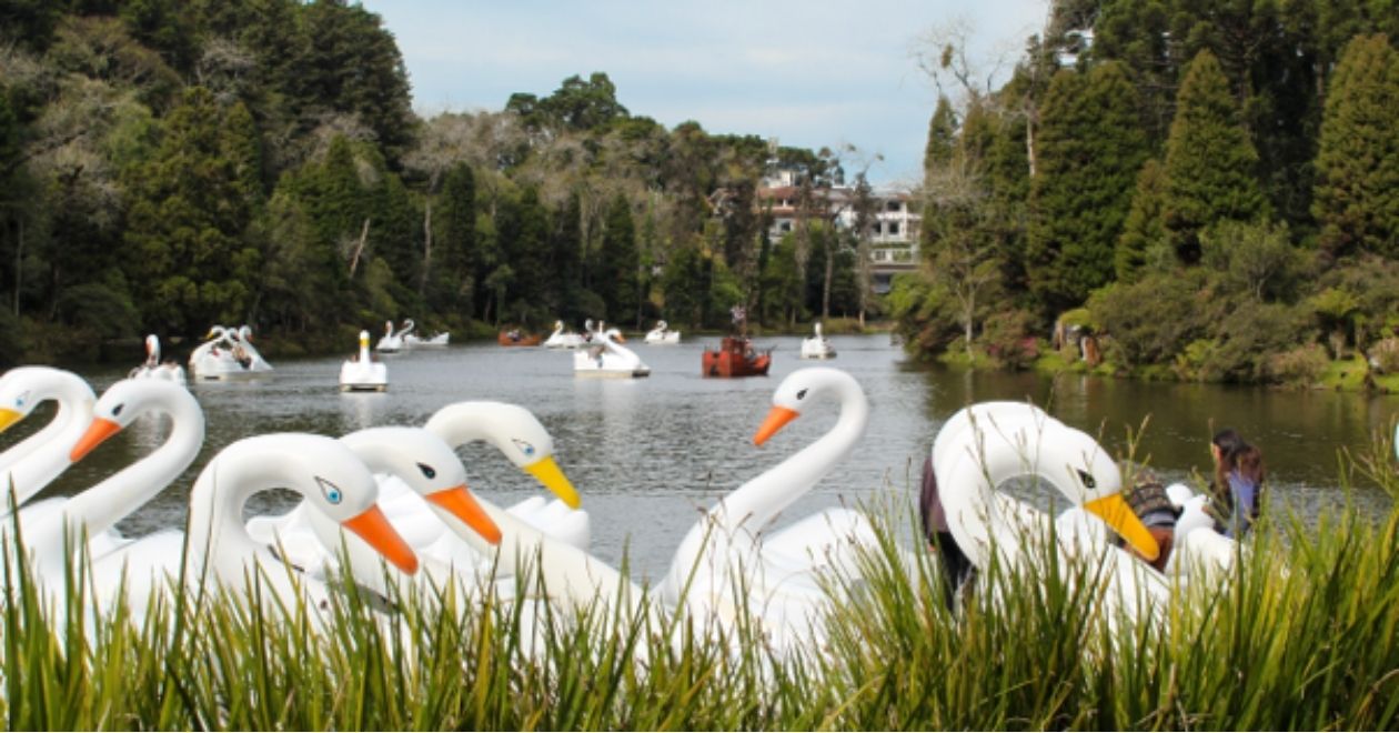 Lago Negro