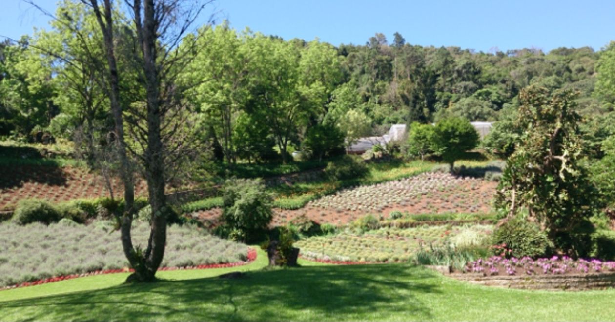 Le Jardin Parque de Lavanda