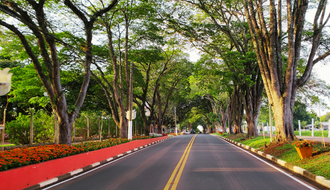 O que fazer em Holambra: guia para aproveitar a cidade das flores