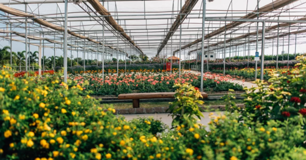 Bloemen Park