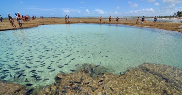 Passeio de jangada