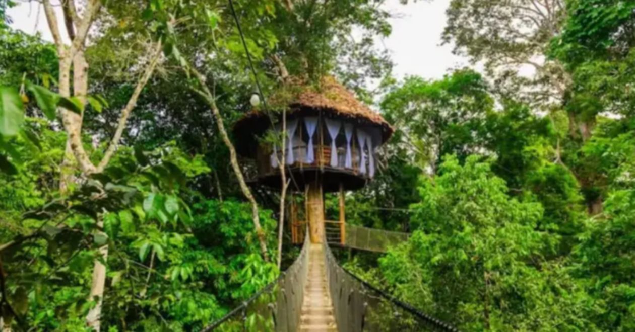 Treehouse Lodge - Iquitos, Peru
