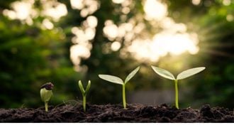 O que é sustentabilidade: conceito, tipos e benefícios