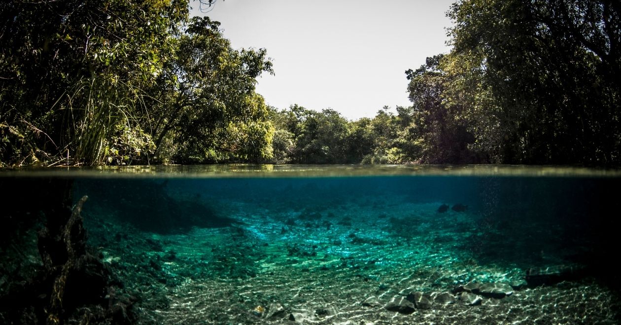 Bonito – Mato Grosso do Sul (Brasil)