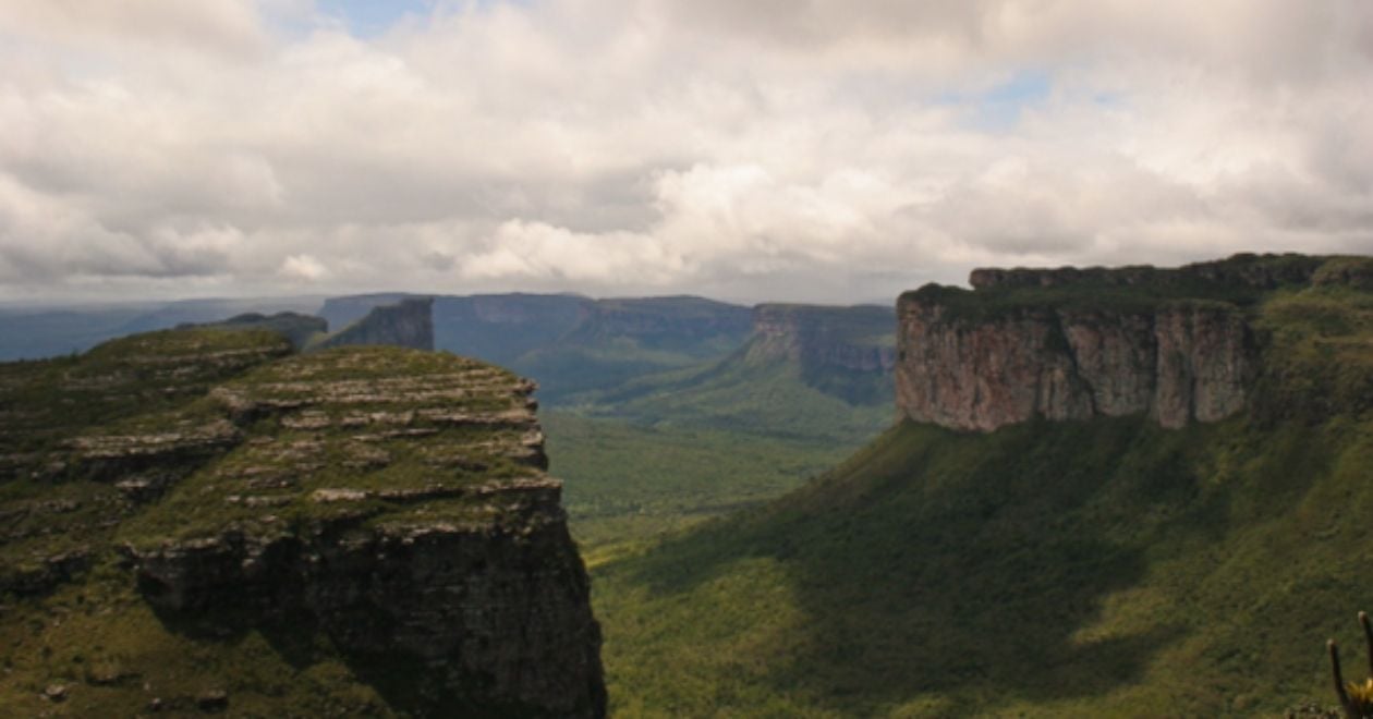 useful description of image if informative and not decoration only.