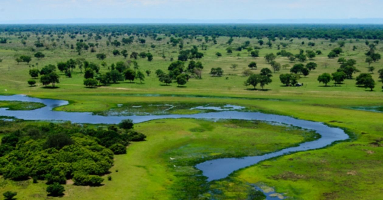 useful description of image if informative and not decoration only.