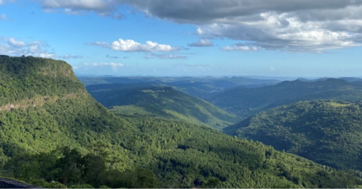 useful description of image if informative and not decoration only.